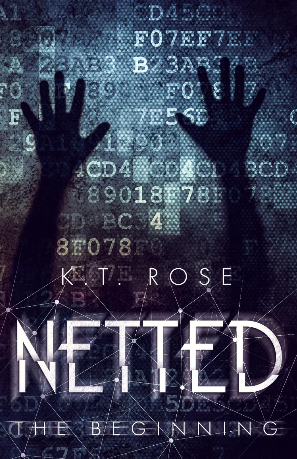 Netted: The Beginning (Netted: A Serial Killer Thriller Series)