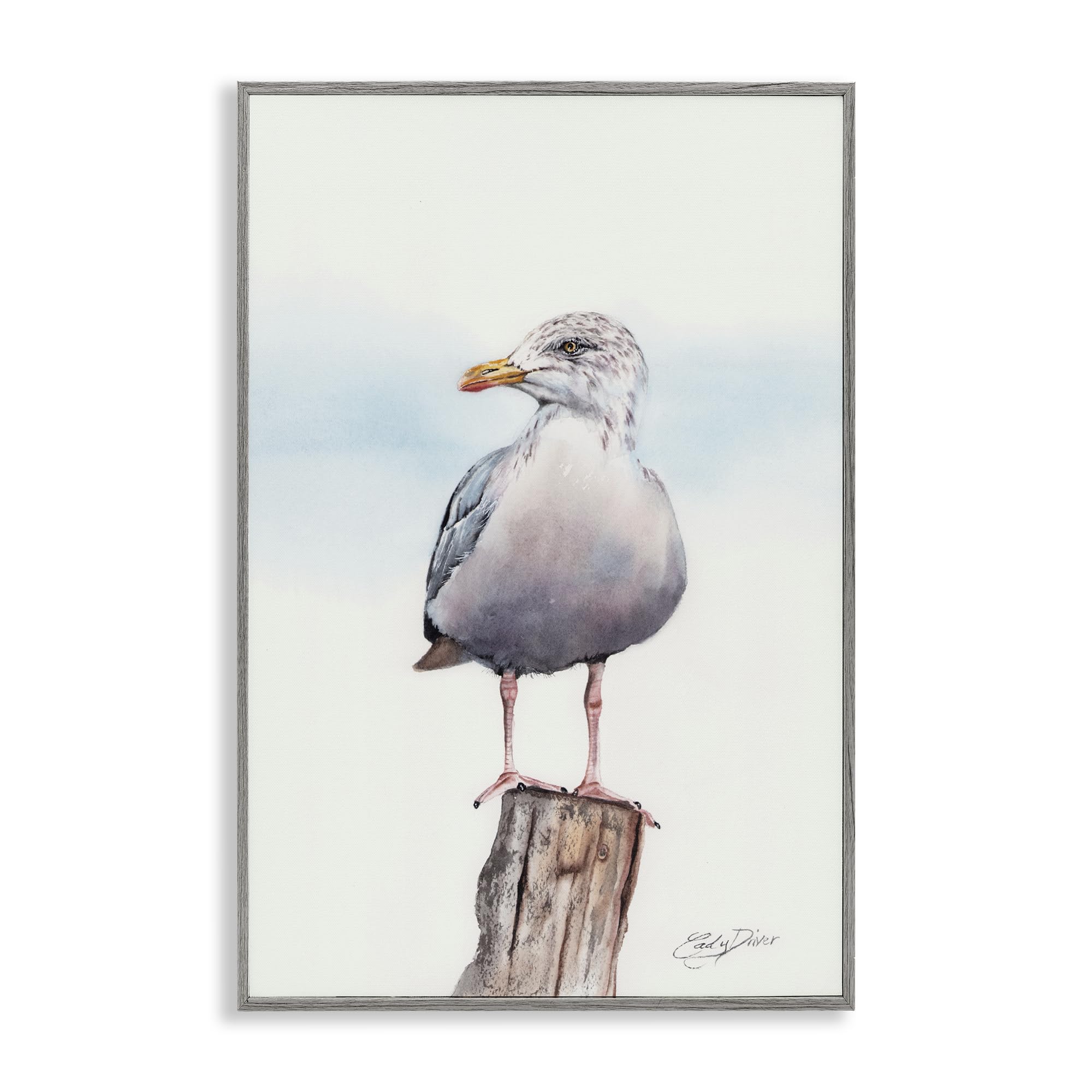 Stupell Industries Seaside Seagull Perch White Framed Giclee Art, design by Cady Driver, 18 x 12