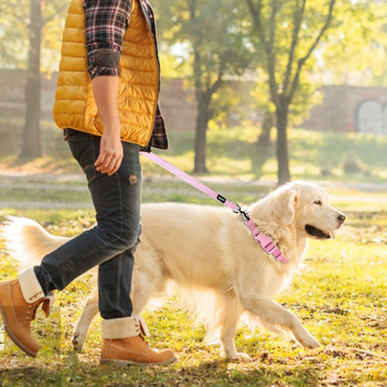 azuza Nylon Dog Collar and Leash Set, Strong & Durable Basic Style Leash and Collar with ID Tag Ring, Available in Multiple Lengths for Medium Dogs, Pink,M