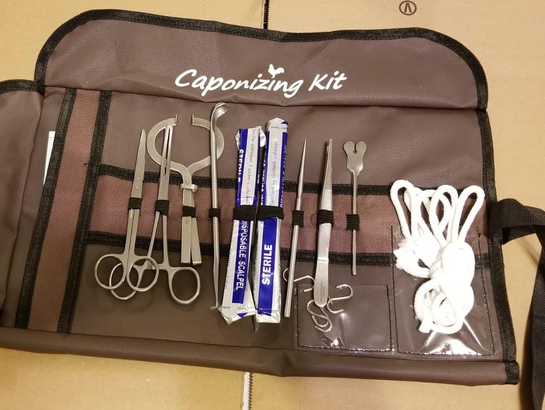 Equipment Essentials Bird Chicken Cockerel Hen Rooster Poultry Caponizing Kit Set Hatchery