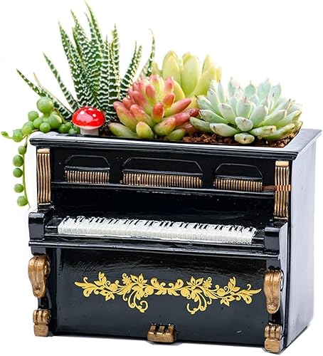 Miniatura 9 de Macetas de madera, mini maceta, maceta retro de resina para suculentas, bonsái, soporte de escritorio, mini adorno (caoba radio) Radio Caoba,Negro