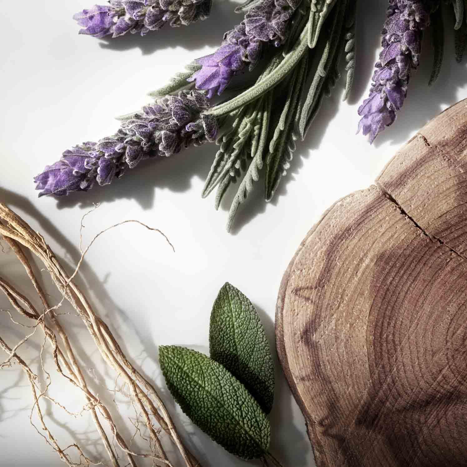Ralph Lauren Ralph's Club Eau de Parfum Uomo, Colonia Uomo, Fragranza Legnosa, Elegante e Sofisticata, Note di Lavanda, Salvia e Legno di Cedro, Intensità Media, Profumo di Lusso da Uomo
