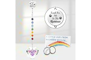 Sentimental Loss of Cat Sympathy Gift, Pet Memorial Gifts, Paw Print Sun...