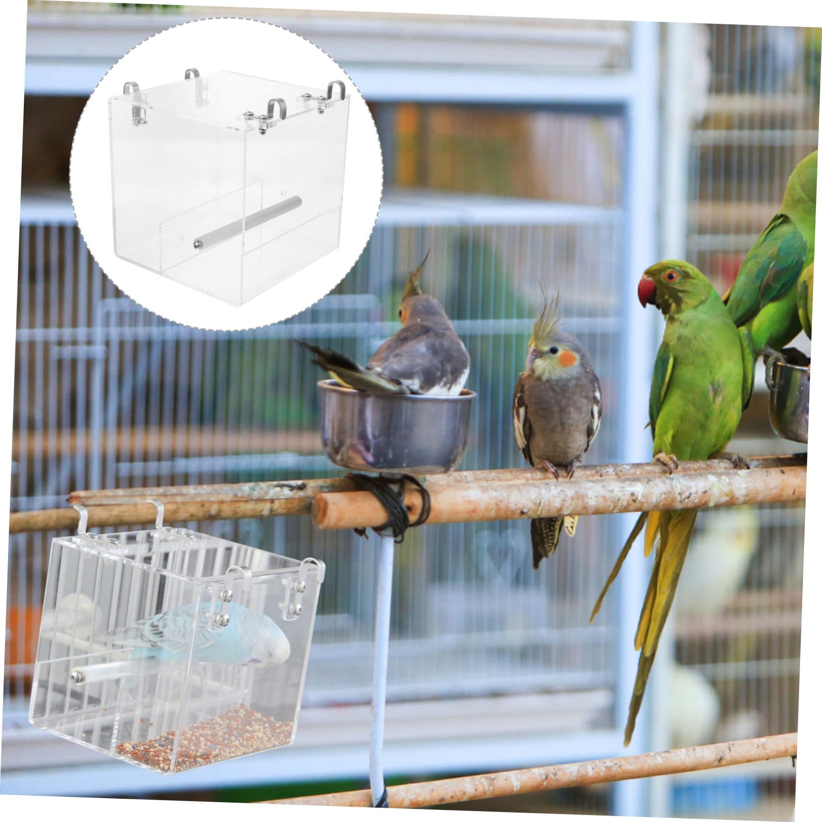 KOMBIUDA Mangeoire Automatique Oiseaux Bol Plastique pour Cage Perroquet Facile à Installer et Nettoyer