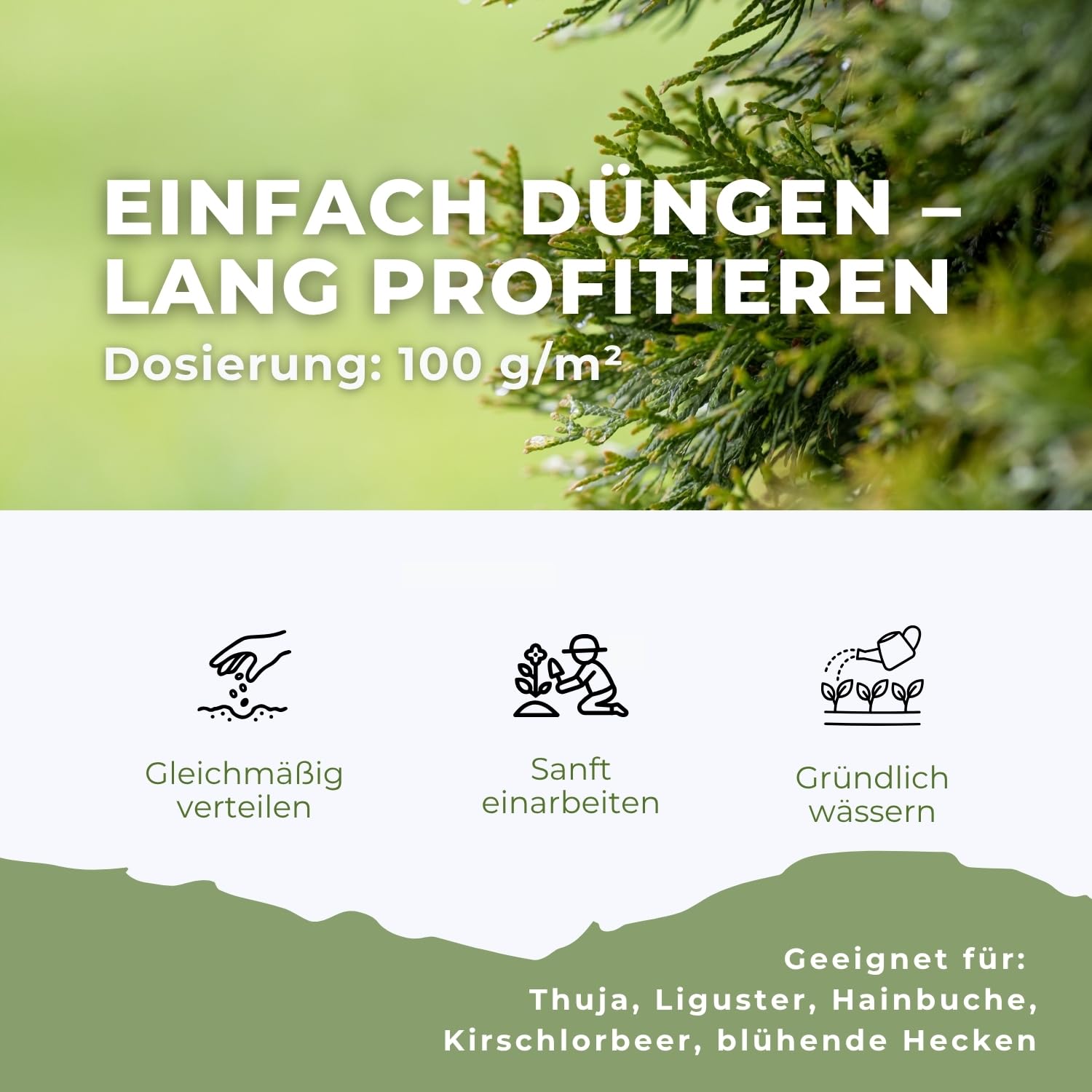Flora Boost PRO Hecken Dünger 5 kg I Langzeitdünger NPK 8-4-5 für Thuja, Liguster, Hainbuche & Kirschlorbeer I Granulat für dichte Hecken, kräftiges Wachstum & gesunde Pflanzen