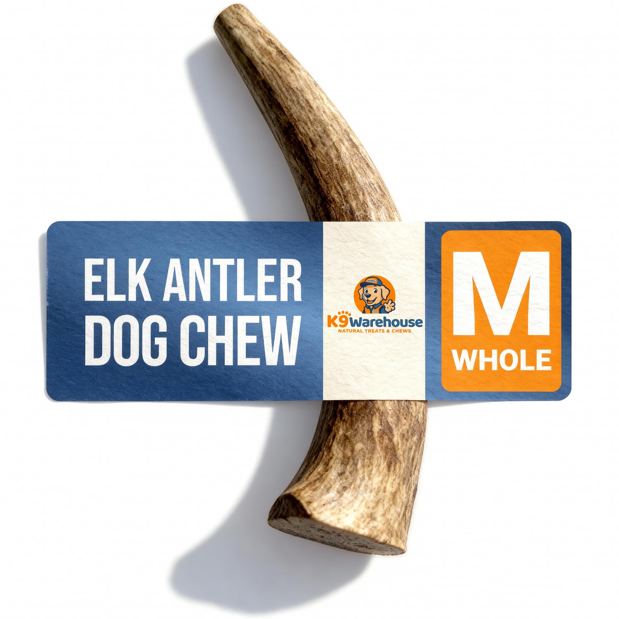 K9warehouse Natural Elk Antlers for Dogs - Premium Grade Dog Antler Chews - Long-Lasting Whole Deer Antles Ideal for Aggressive Chewers - Safe USA Sourced Chew for Medium and Large Dogs - 1 Pack