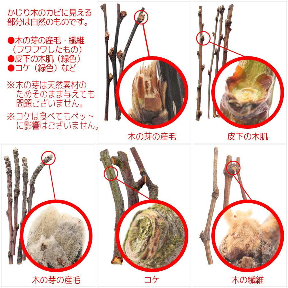 長野県産 ぶどうの木 かじり木 中枝