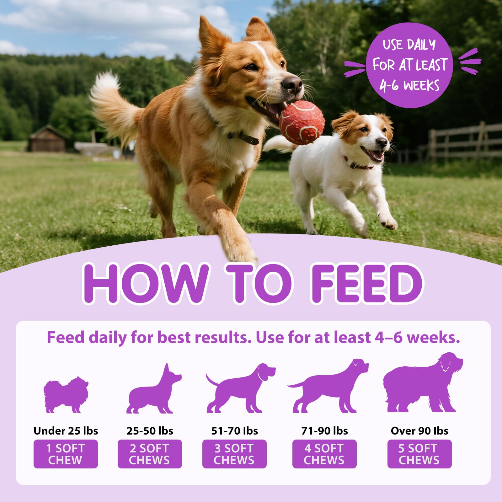 Probiotics Chews for Dogs 120 Chews, Peking Duck Flavor - Image 3
