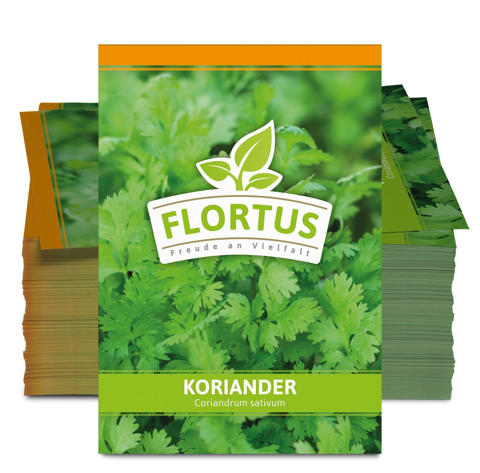 FLORTUS 2000-0050-100x Koriander (100 Tütchen) (Koriandersamen)