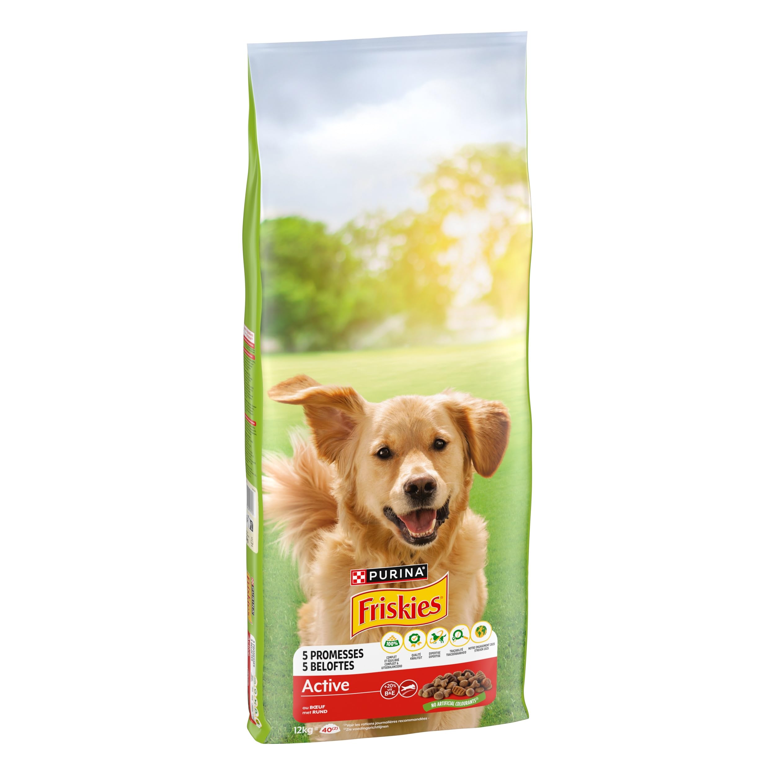 FRISKIES | Active | Chien | Croquettes pour Chiens Adultes | au Boeuf | Aide à Maintenir Un Niveau d'énergie élevé | Sac | 12 KG