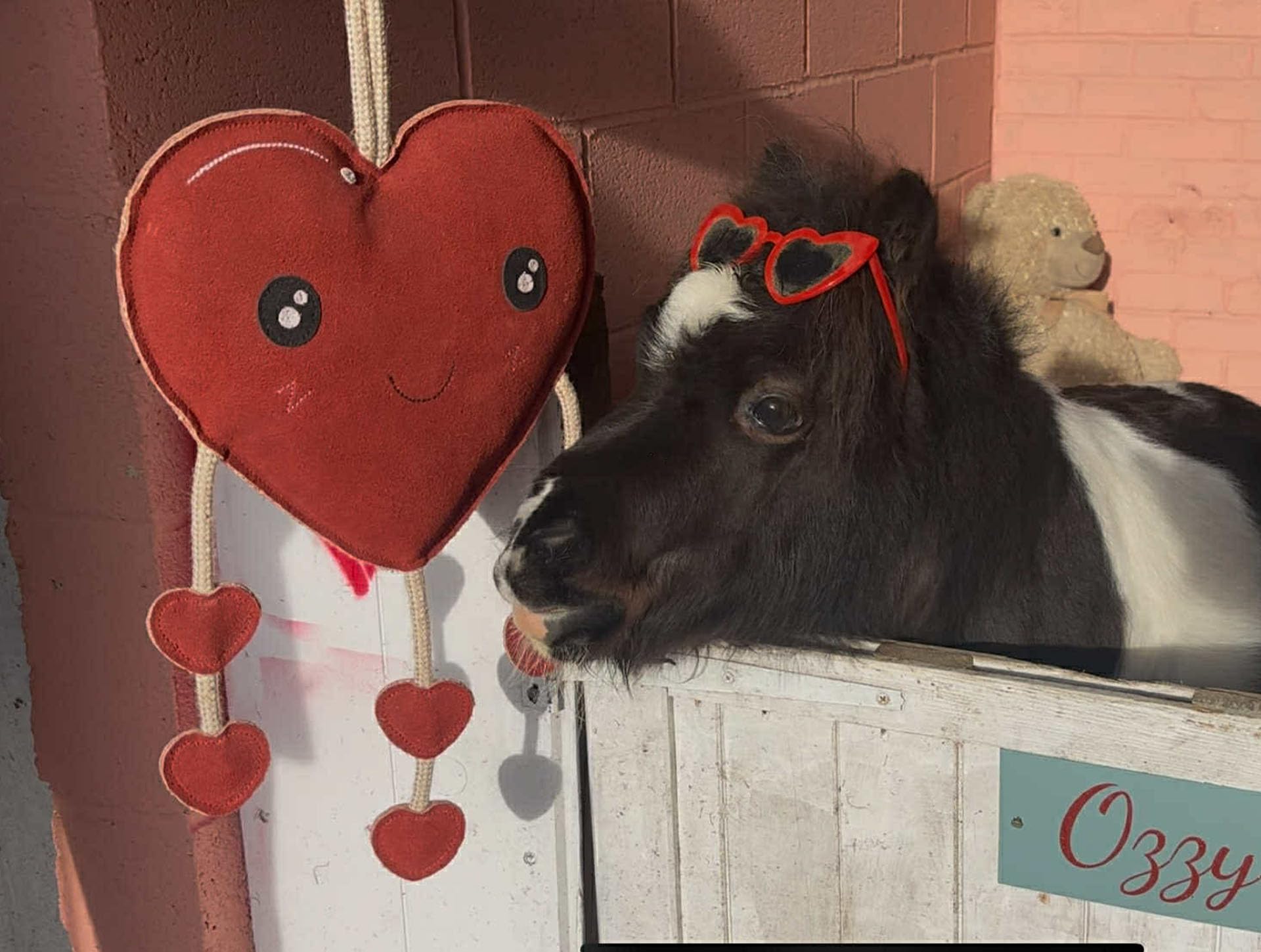 Ruggles Horse Stable Toy | Boredom buster for horse pony donkey - Heart