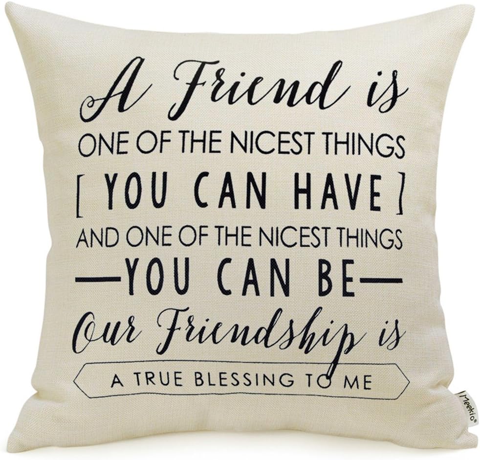 Meekio Friendship Gifts Decorative Throw Pillow Covers 18" x 18" with Friend Quotes, Gifts for Women