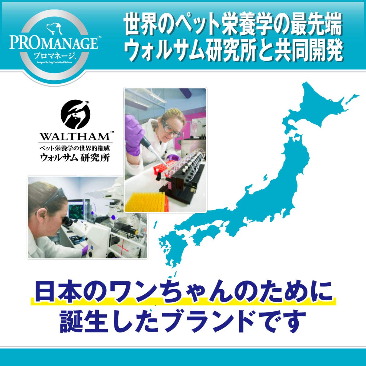 PROMANAGE ゴールデンレトリーバー専用 4kg✖️3袋合計12キロ Amazon.co.jp: プロマネージ ドッグフード 成犬用 ゴールデン