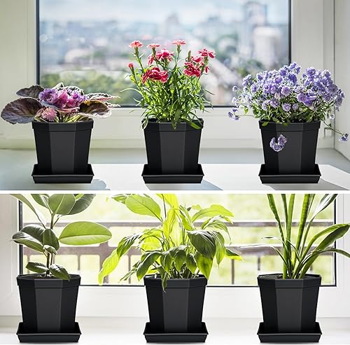 Miniatura 4 de Platillo cuadrado para plantas de 6, 8, 10, 12, 14, 16, 18, 20 pulgadas, paquete de 5 platillos de plástico, bandeja de drenaje de agua para