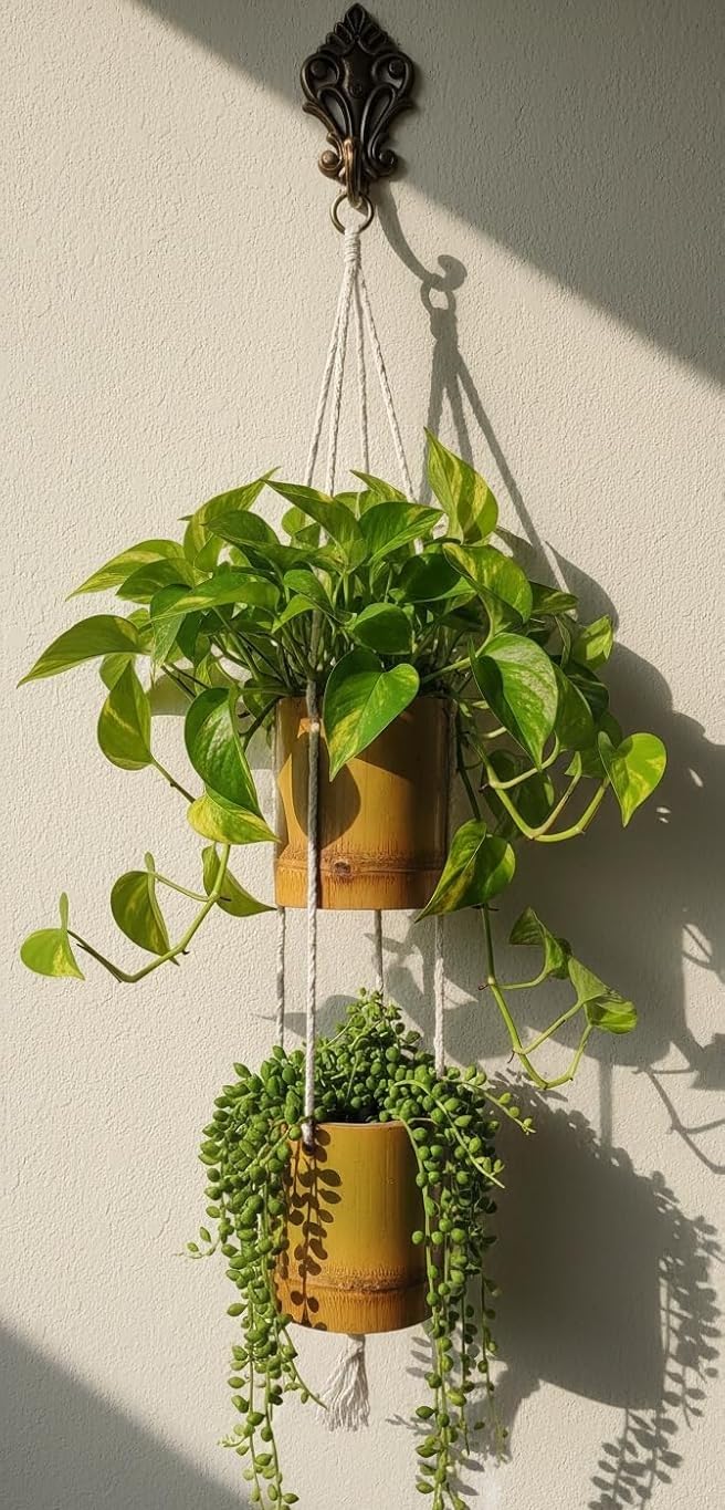 WATIKA CRAFT Bamboo Handamade Planter Basket Wall Hanging Bamboo Planter for Plants Perfect for Home & Garden Decor-image-2