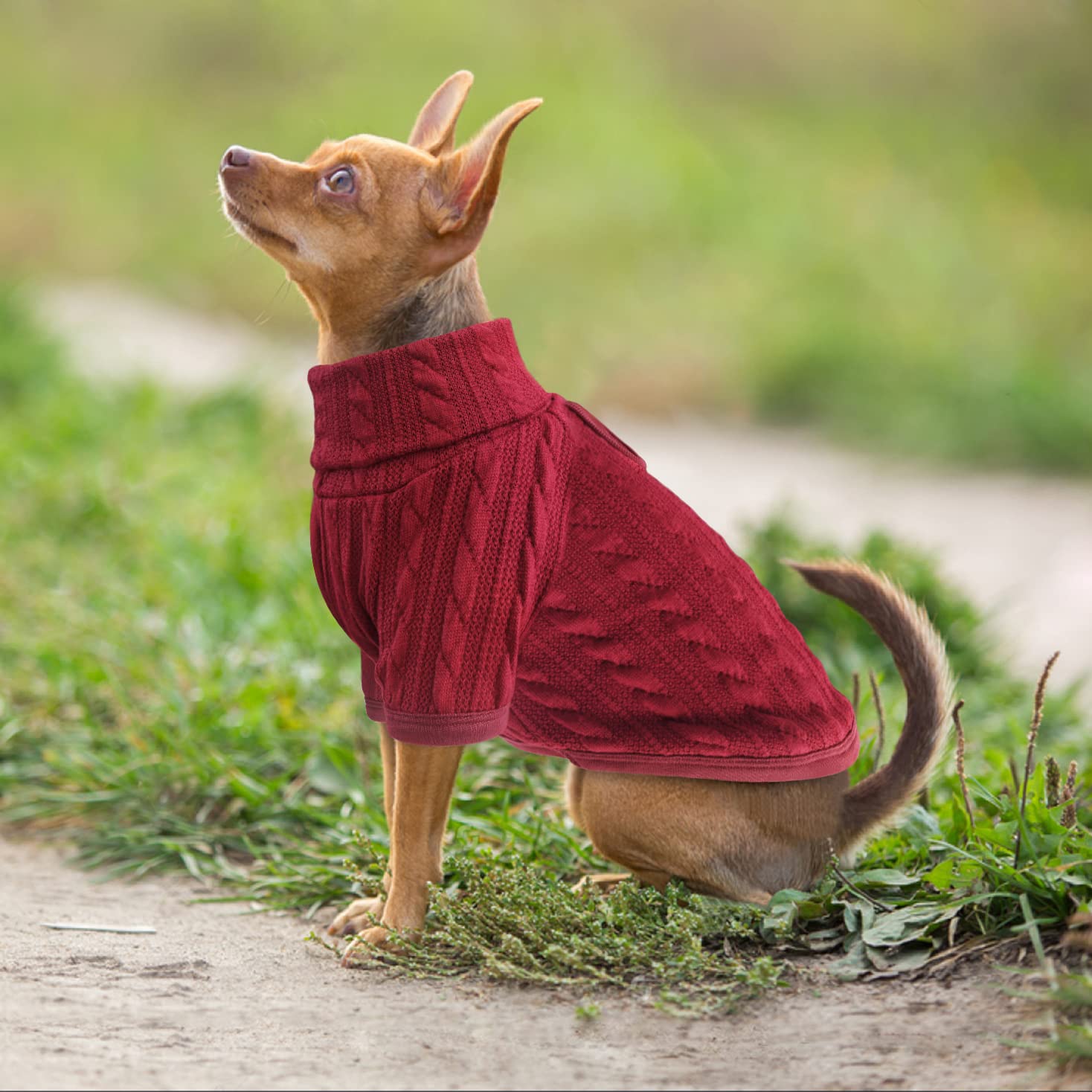 PAWCHIE Weihnachtlicher Hundepullover Mit Rollkragen & Leinenloch – Warm, Gestrickt, Für Kleine Bis Große Hunde, Elch-Motiv