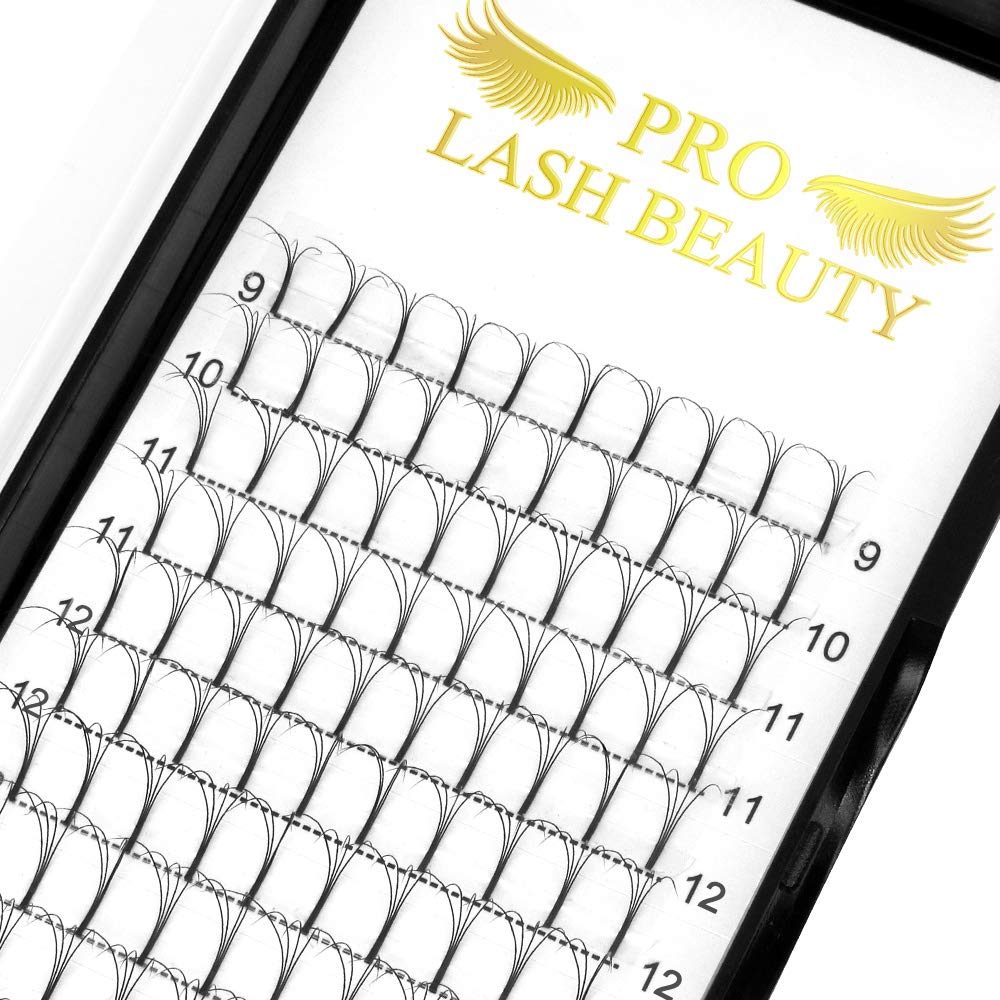 Fertige Wimpernfächer 3D 4D 5D 6D Vorgefächerte Volumen Wimpern Extensions 0.07 0.10 WimpernverlängerungWimpern 6D-C-0.07, 10mm