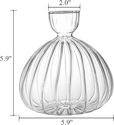 Miniatura 2 de Cididu Jarrón de iniciación de brotes de semillas de aguacate, maceta de vidrio para cultivo de árbol de aguacate, tarros de propagación de vidrio a