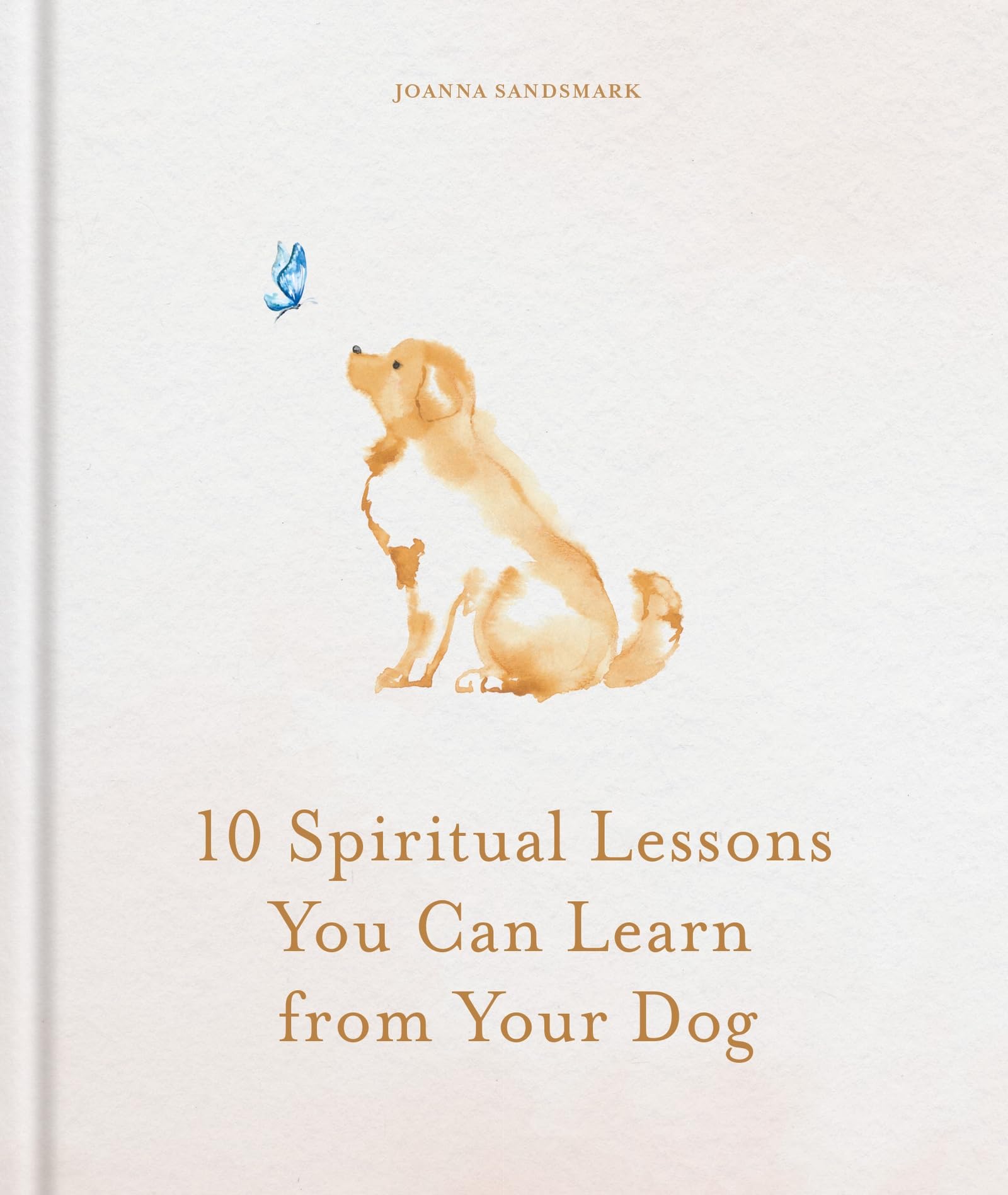 10 Spiritual Lessons You Can Learn from Your Dog: Essential Life Lessons We Can Learn From Our Furry Friend