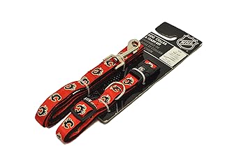 Protect Me Alerts NHL Calgary Flames Dog Collar & Leash Set, Large