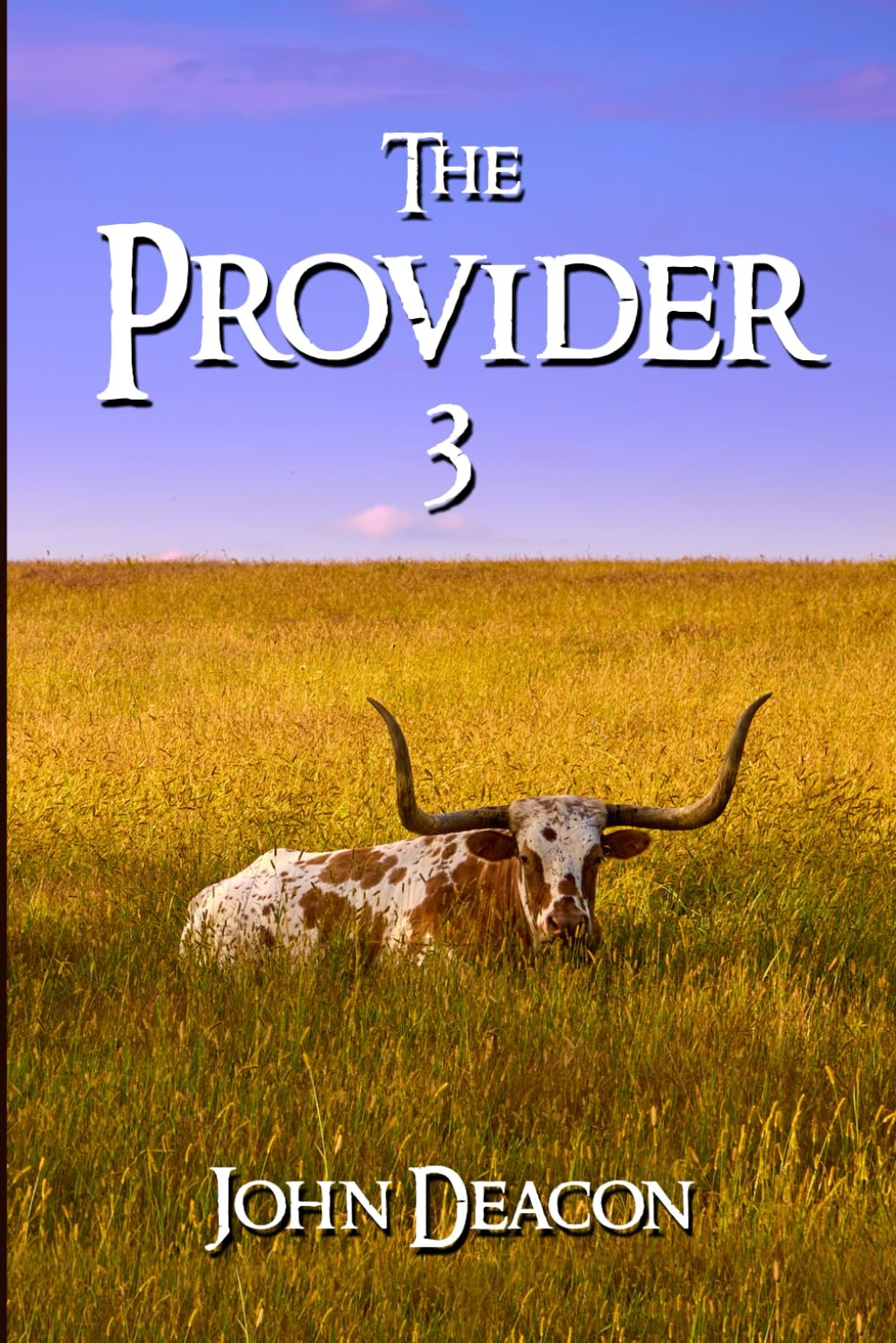 The Provider 3 (The Provider Saga)