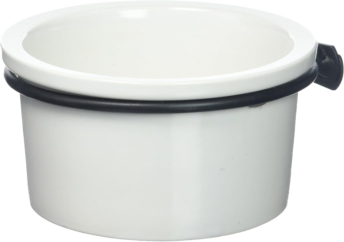 Prevue Pet Products BPV6401 Tazas de cerámica para pájaros, 14 onzas, colores surtidos
