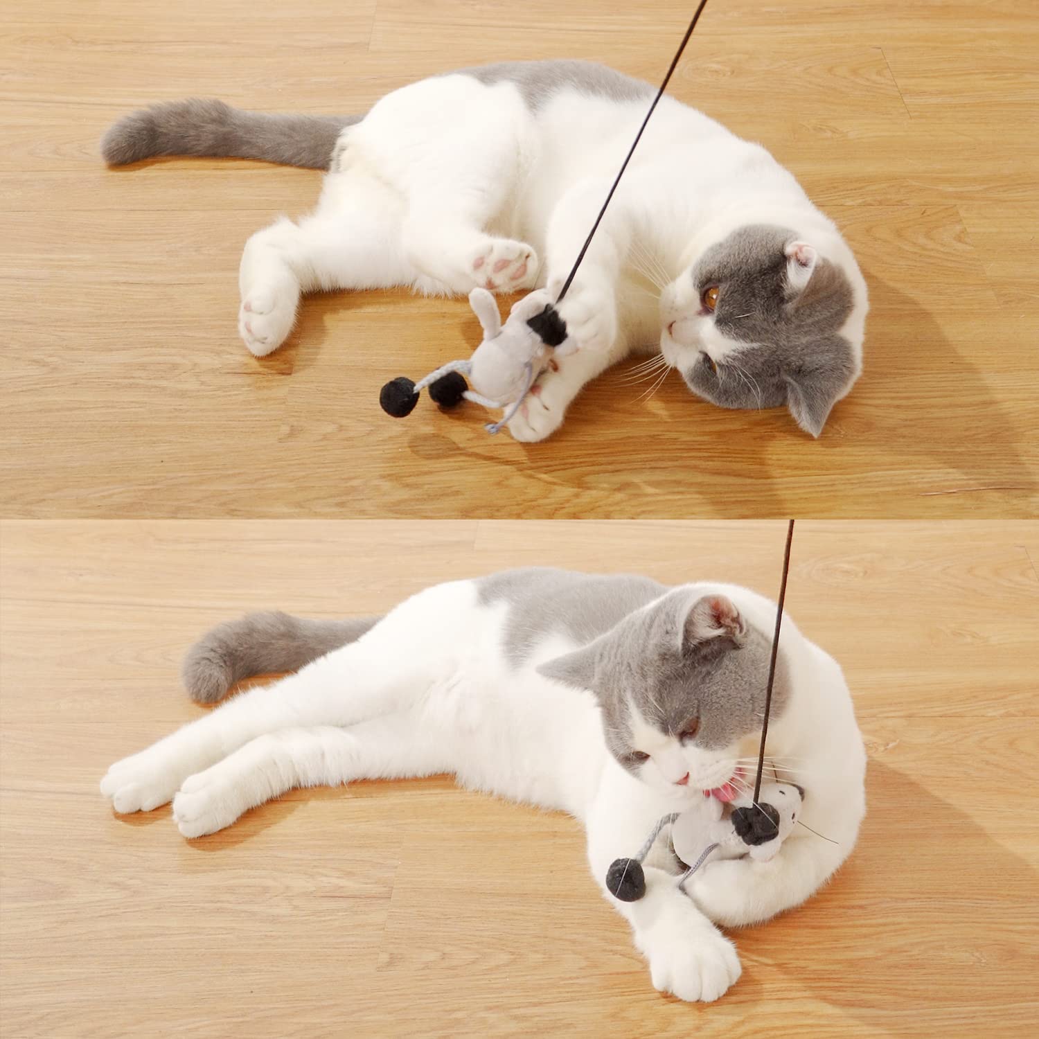 Varita de Juguete para Gatos, Juguete para Gatos, Juguete Interactivo para Interiores, balanceándose y chirriando Divertido Gatito Jugando Gato Varita Juguete Adecuado para interactuar con Gatos