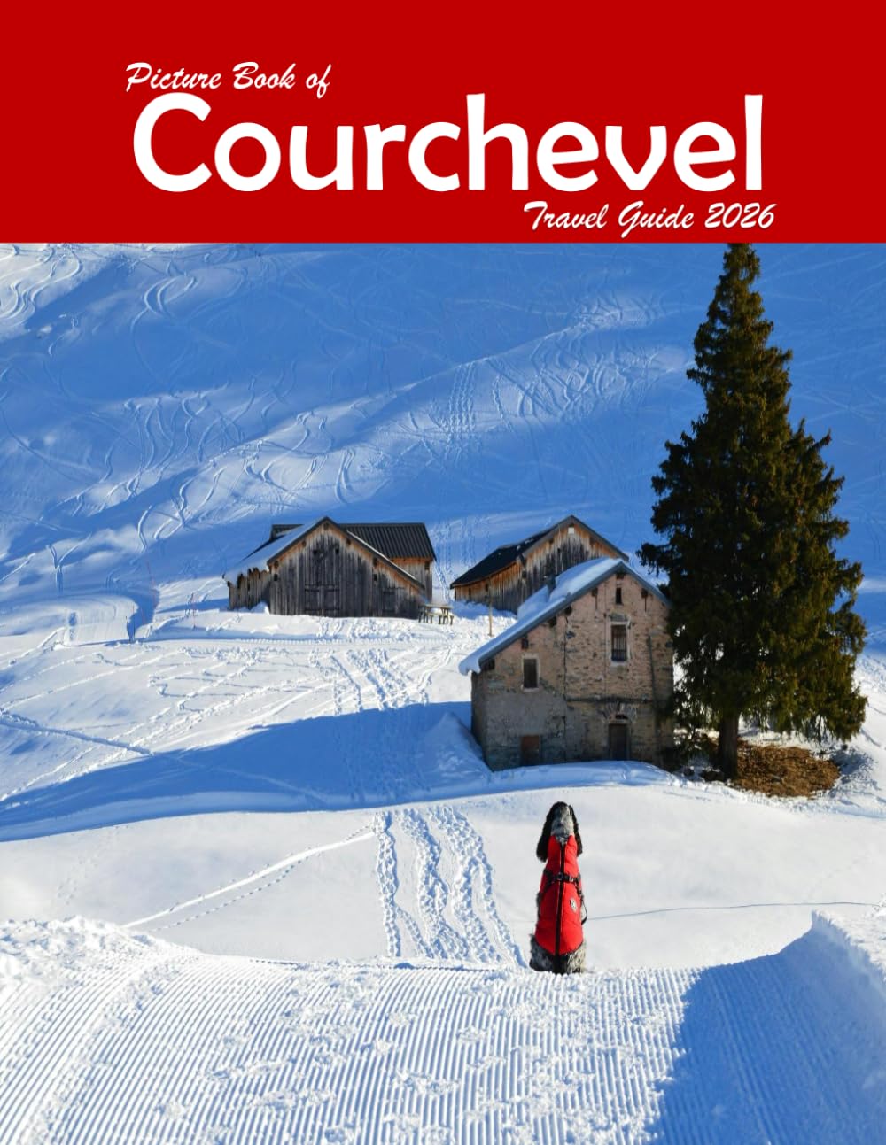Courchevel: A Visual Journey Through Stunning Landmarks, Travel and Nature lovers.