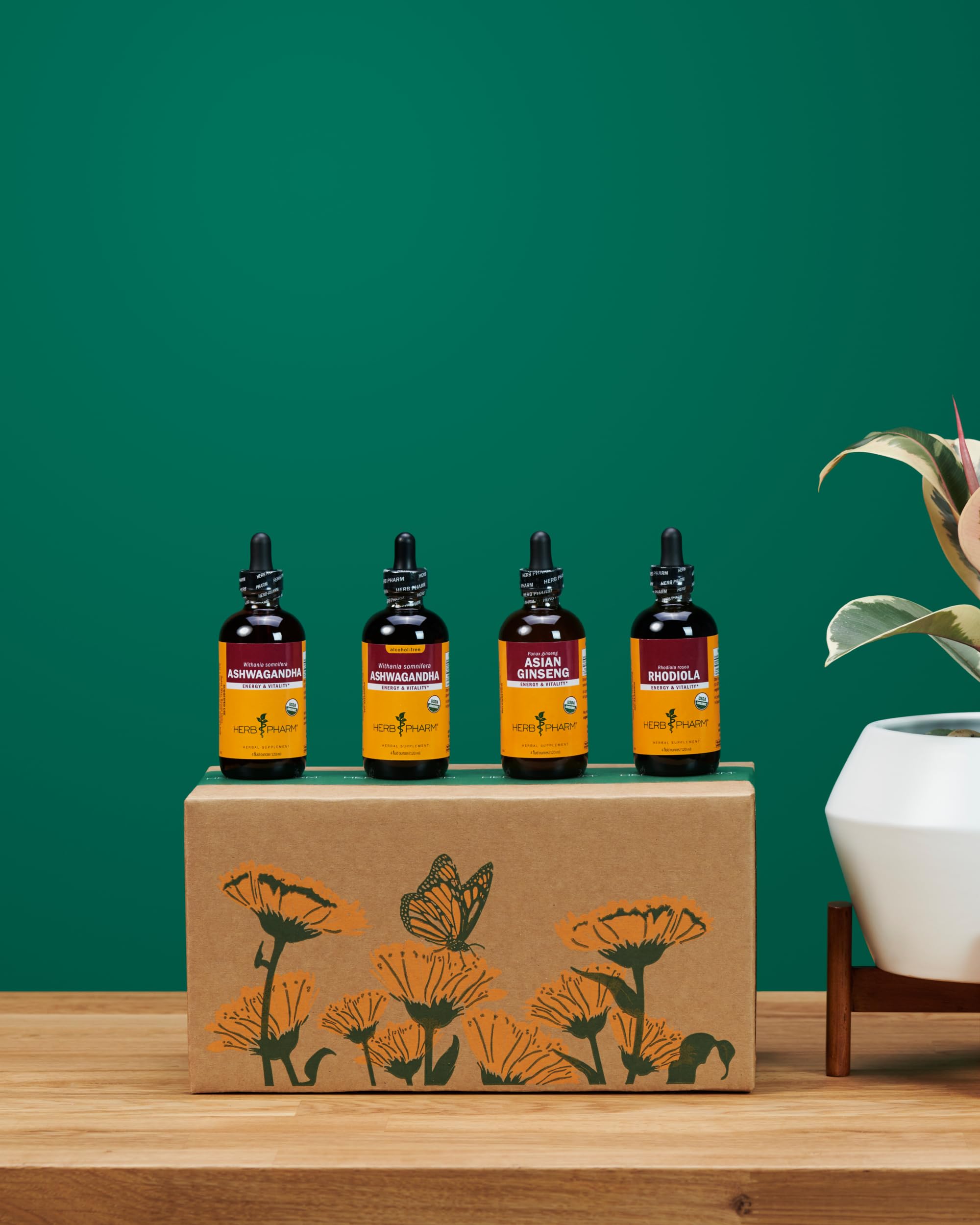 Herb Pharm Certified Organic Ashwagandha Extract Drops for Traditional Support for Energy and Vitality, Alcohol-Free Glycerite, 2 Oz