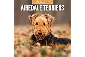 2025 Airedale Terriers Monthly Wall Calendar: Embrace the Joy of Your Furry Companion