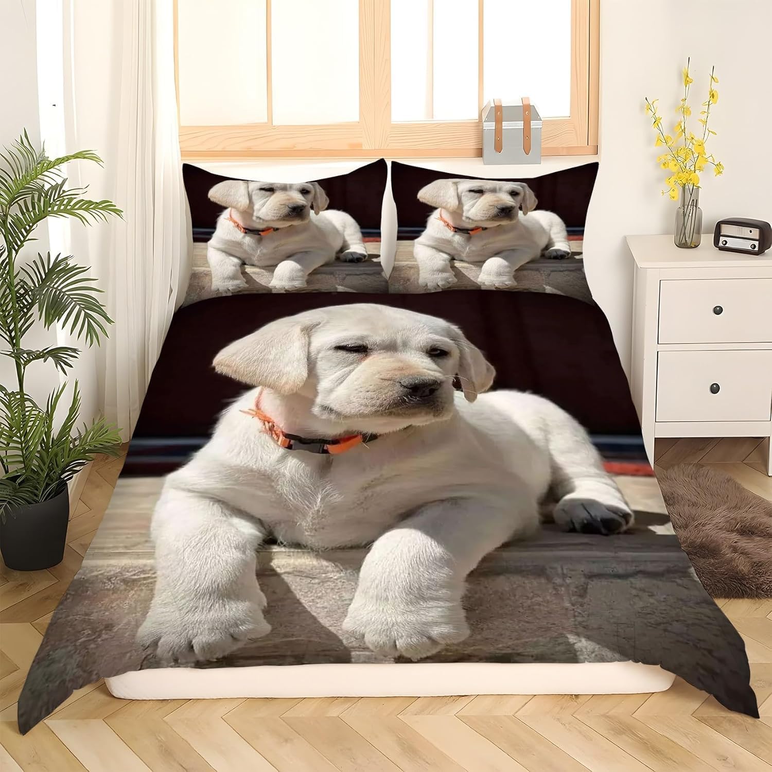 Pościel 220 x 240 cm, labrador retriever, miękka pościel z mikrofibry, druk 3D, urocze zwierzęta domowe, 3-częściowy, poszwa na kołdrę z zamkiem błyskawicznym i 2 poszewki na poduszkę 80 x 80 cm, wys