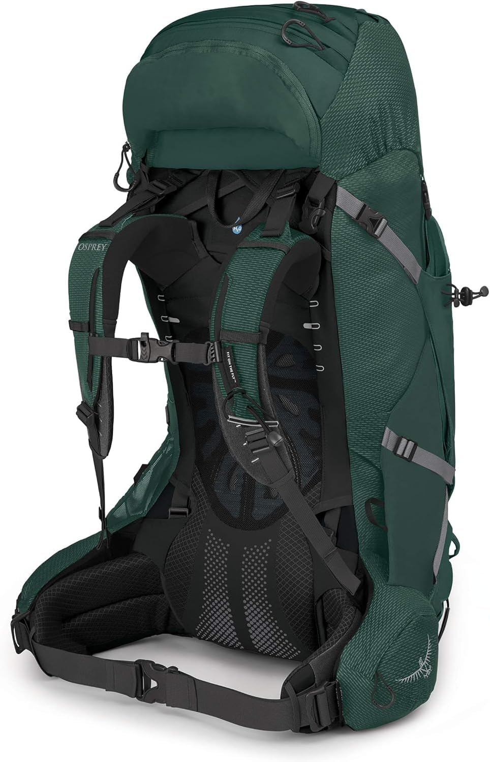 Osprey Aether Plus 60L Men's Backpacking Backpack, Axo Green, S/M