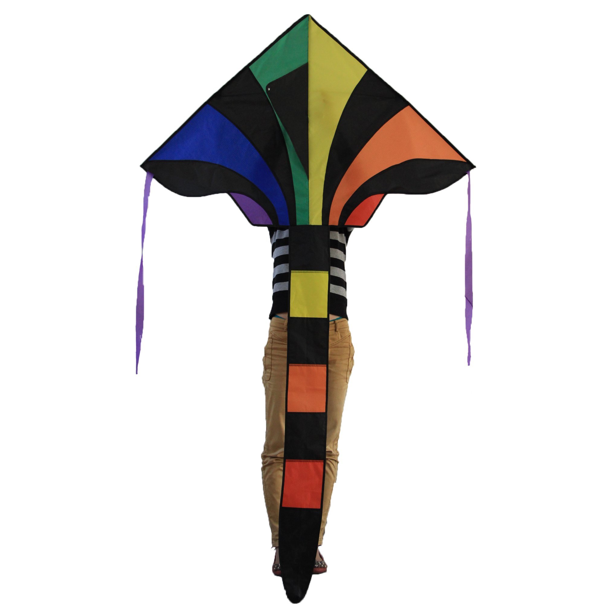 Amazon.co.jp: Fun中央ay978凧for Kids、レインボーDelta Kite – 46