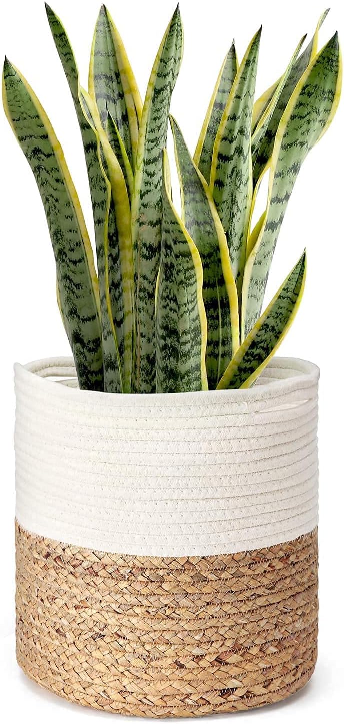 Ikom 6 Inch Planter - Indoor Pots for Plants Used in Home Decor, Garden, Bathroom, Living Room Etc - Half White