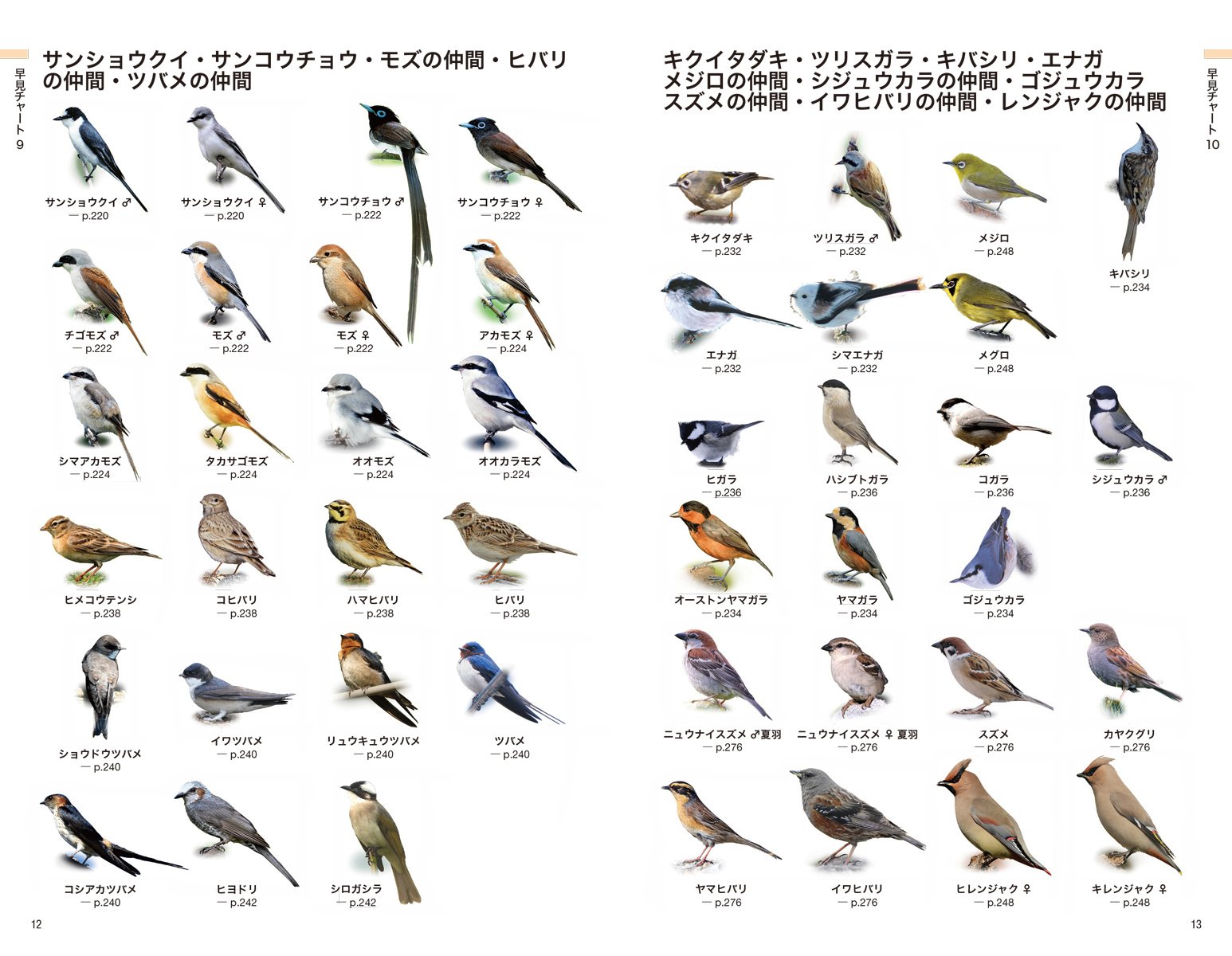 Amazon Co Jp 日本の野鳥識別図鑑 知りたい野鳥が早見チャートですぐわかる 泰敬 中野 拓哉 叶内 凱巳 永井 Japanese Books