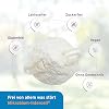 Microbiome Intercell (Probiotics) - 33 Bacterial Strains High Dose with Inulin (90 Capsules) - For Building the Intestine with the Most Important Lactic Acid Bacteria - 25 Billion CFU per Capsule - Lactose Free