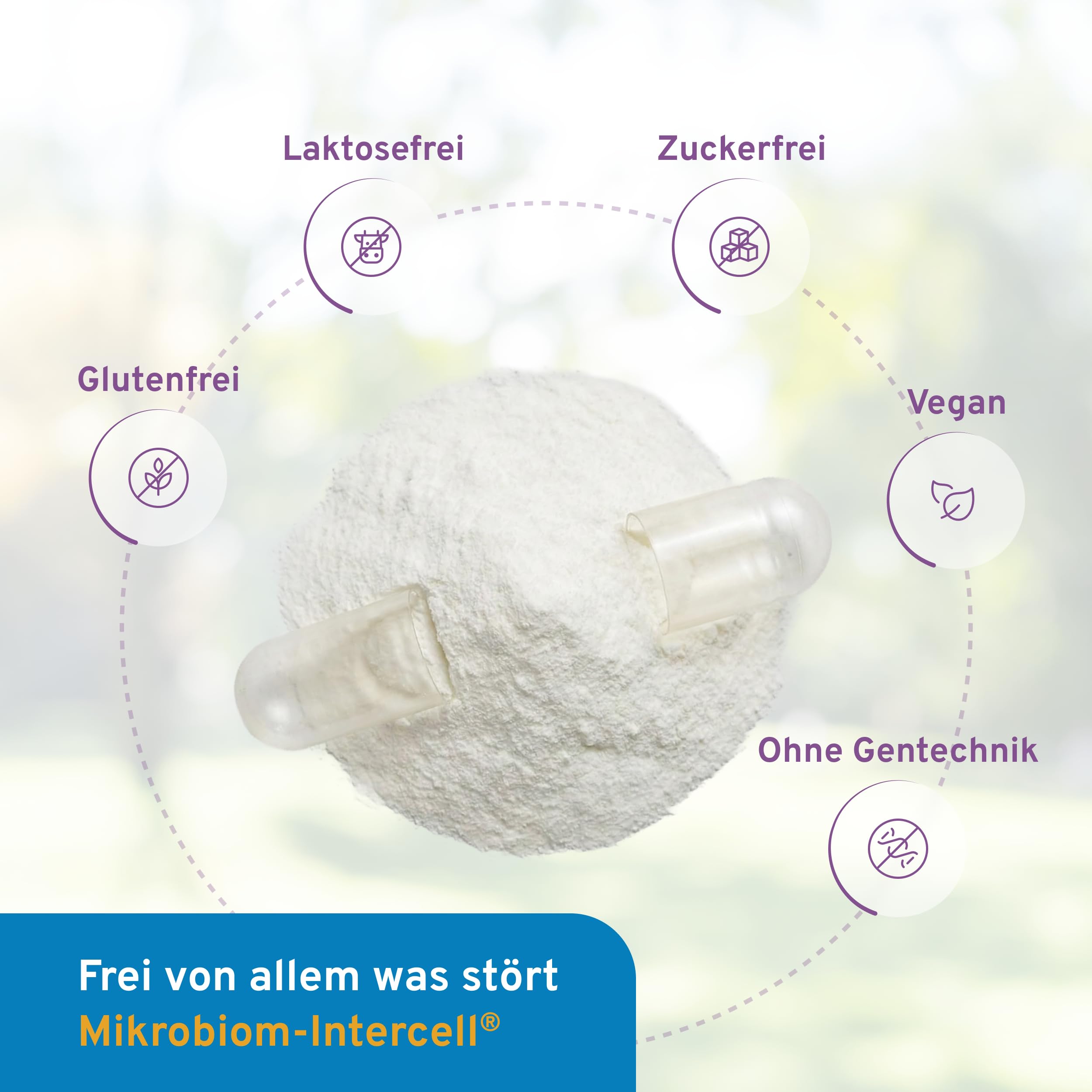 Mikrobiom Intercell (Probiotika) - 33 Bakterienstämmen hochdosiert mit Inulin (90 Kapseln) - Für den Aufbau des Darms mit den wichtigsten Milchsäurebakterien - 25 Mrd. KBE je Kapsel - laktosefrei
