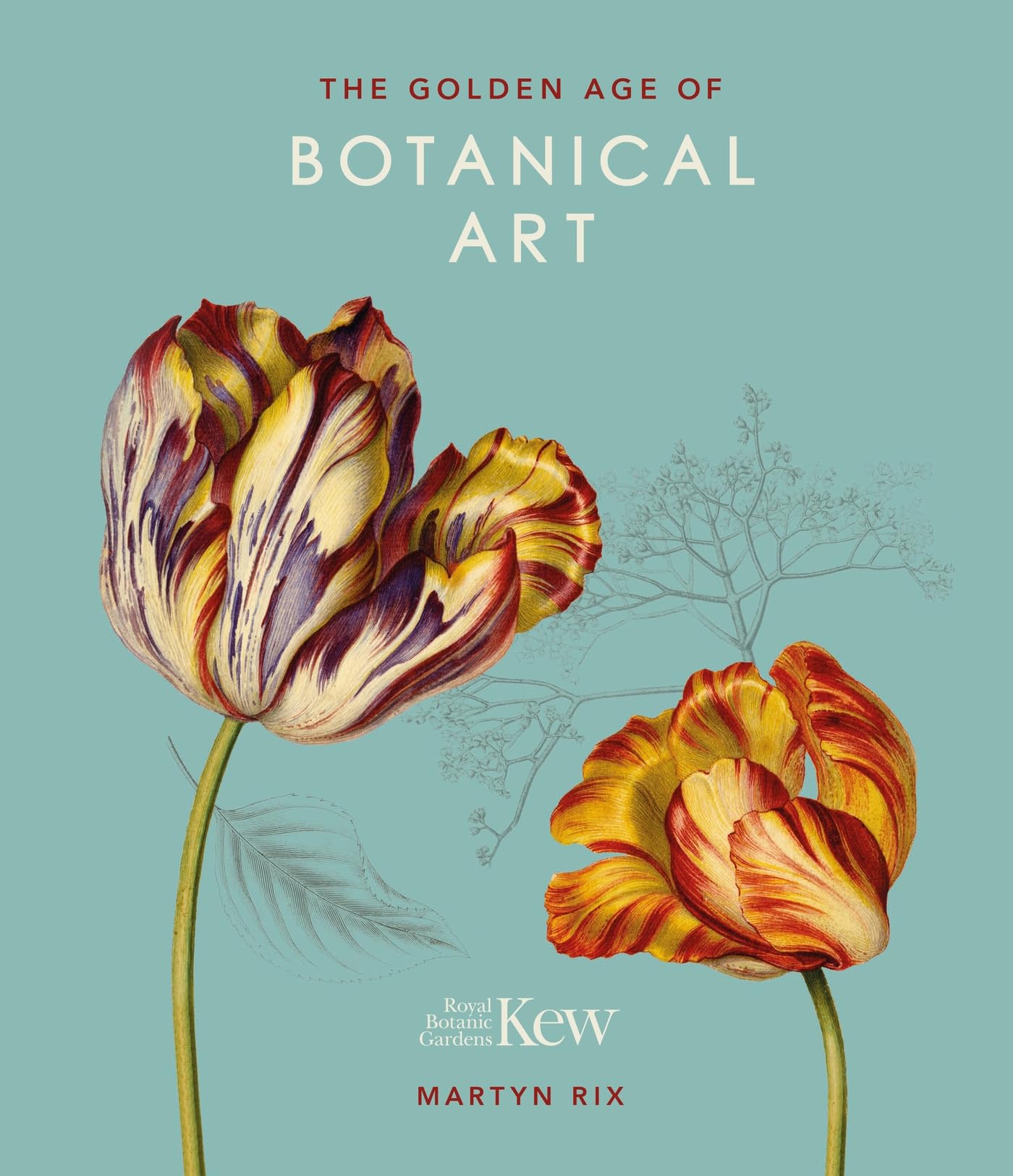 The Golden Age of Botanical Art by Martyn Rix HARDBACK 9780233005423