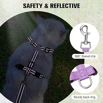 Pet Supplies : BEAUTYZOO Cat Harness and Leash Set for