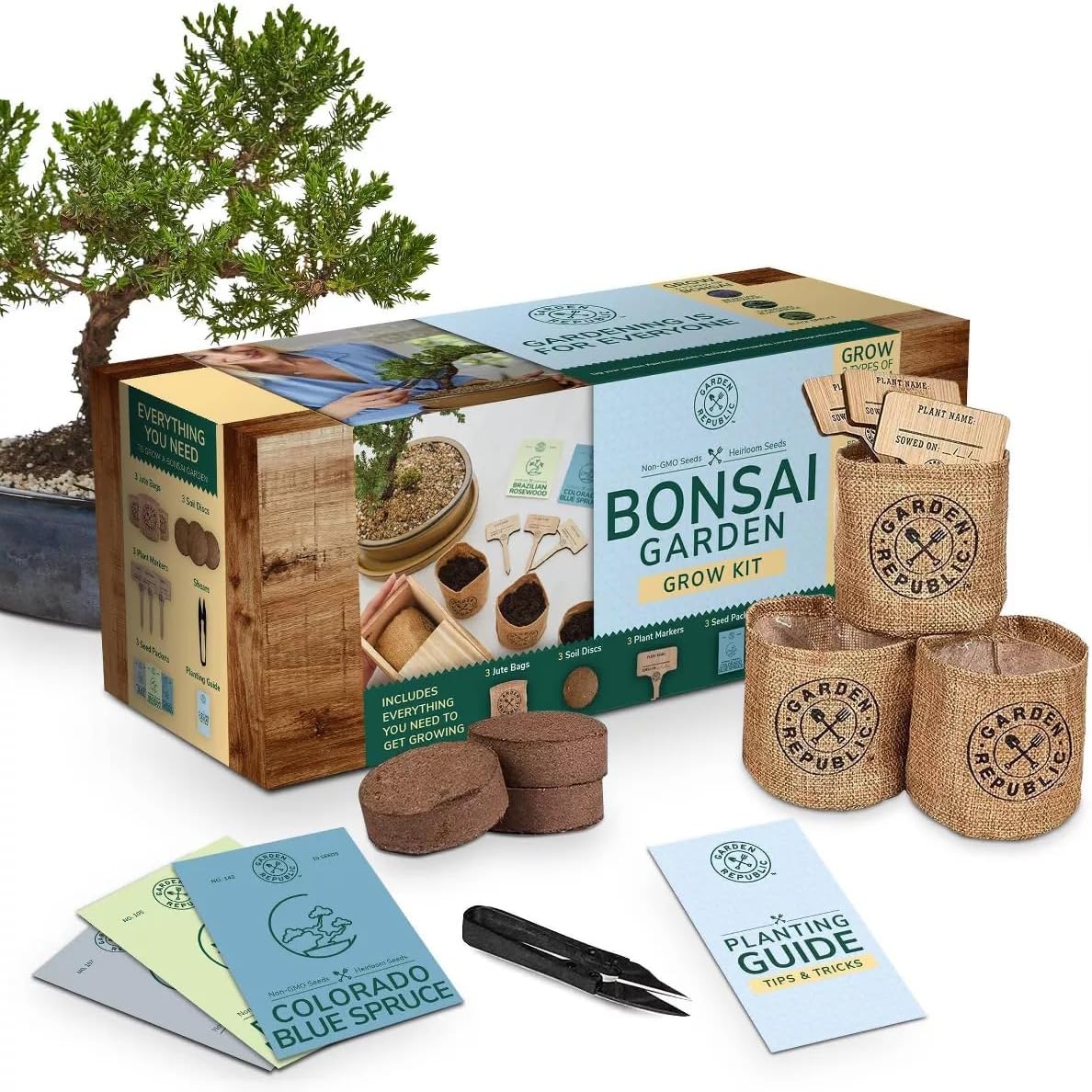 Bonsai Trees