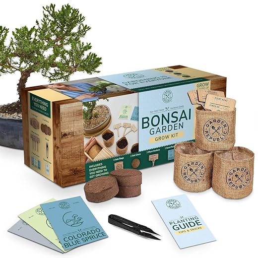 Garden Republic Medium Bonsai Tree Kit, Grow 3 Mini Bonsai Trees, Indoor Plant Growing - Starter Kit with Seeds, Soil, Planters & Shears, Gardening Gifts