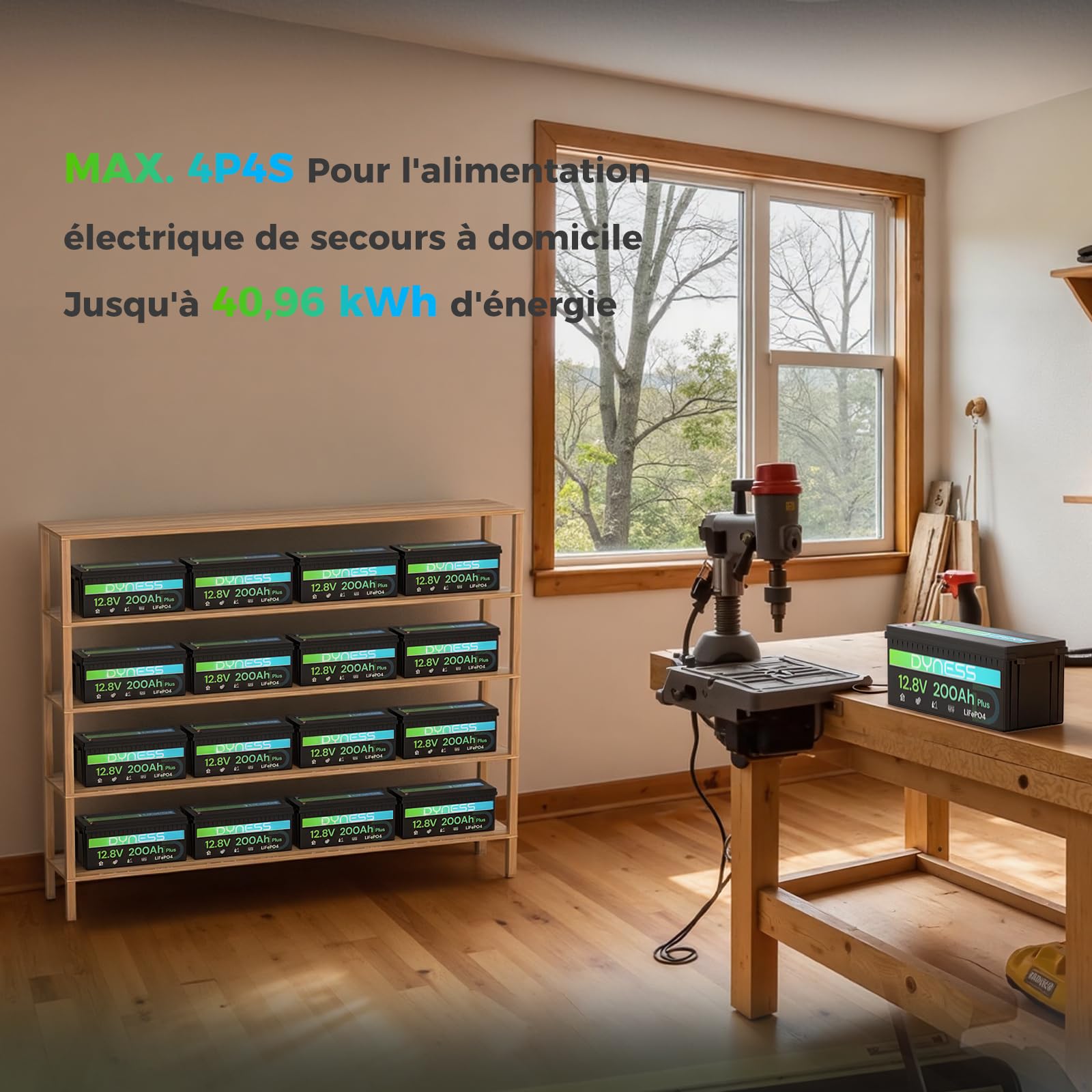 Dyness Batterie Lithium 12V 200Ah LiFePO4 avec BMS 200A intégré et Protection Basse Température, 2560Wh pour Camping-Car/Marin à Décharge Profonde, Solaire, Aventure/Van, Hors-Réseau