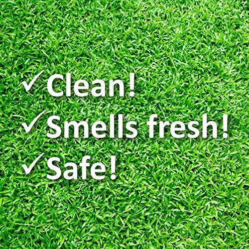 WEE FREE - Detergente per erba artificiale da 5