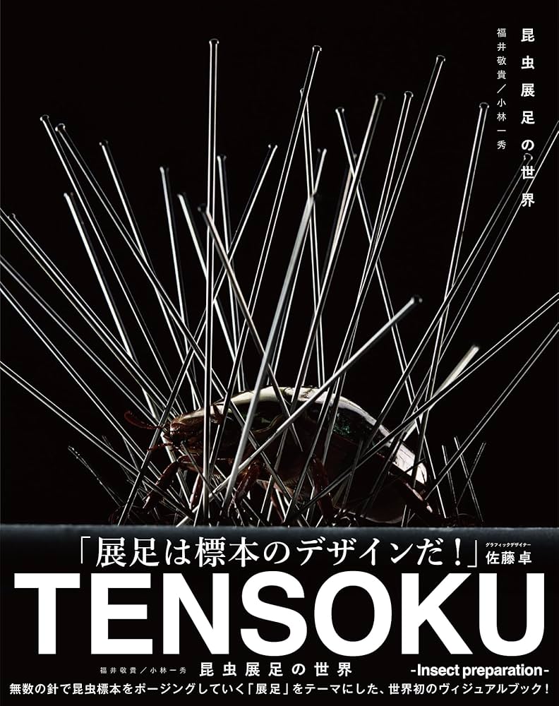 いしちゃん　オサムシ　学術標本 いしちゃん オサムシ 学術標本 昆虫展足の世界 TENSOKU -Insect