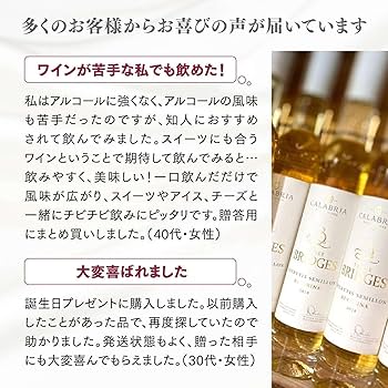 Dennis015 白犀牛　訳あり Dennis015 白犀牛 訳あり アガベ・チタノタ 白犀牛（芽）-003