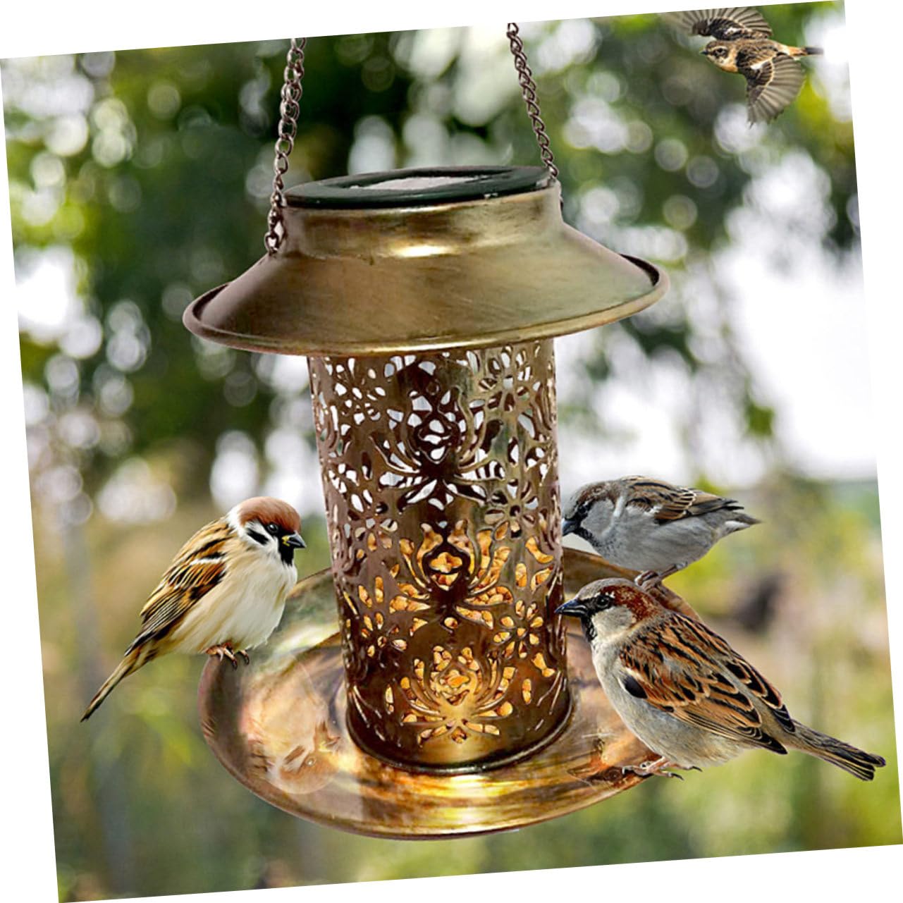 UPKOCH Mangiatoia Per Uccelli Alimentata Energia Solare Luce Led Da Giardino Contenitore Per Cibo Per Uccelli Decorazione Da Appendere Per Canarini Pappagalli Allodole Colombi Gialli e Al