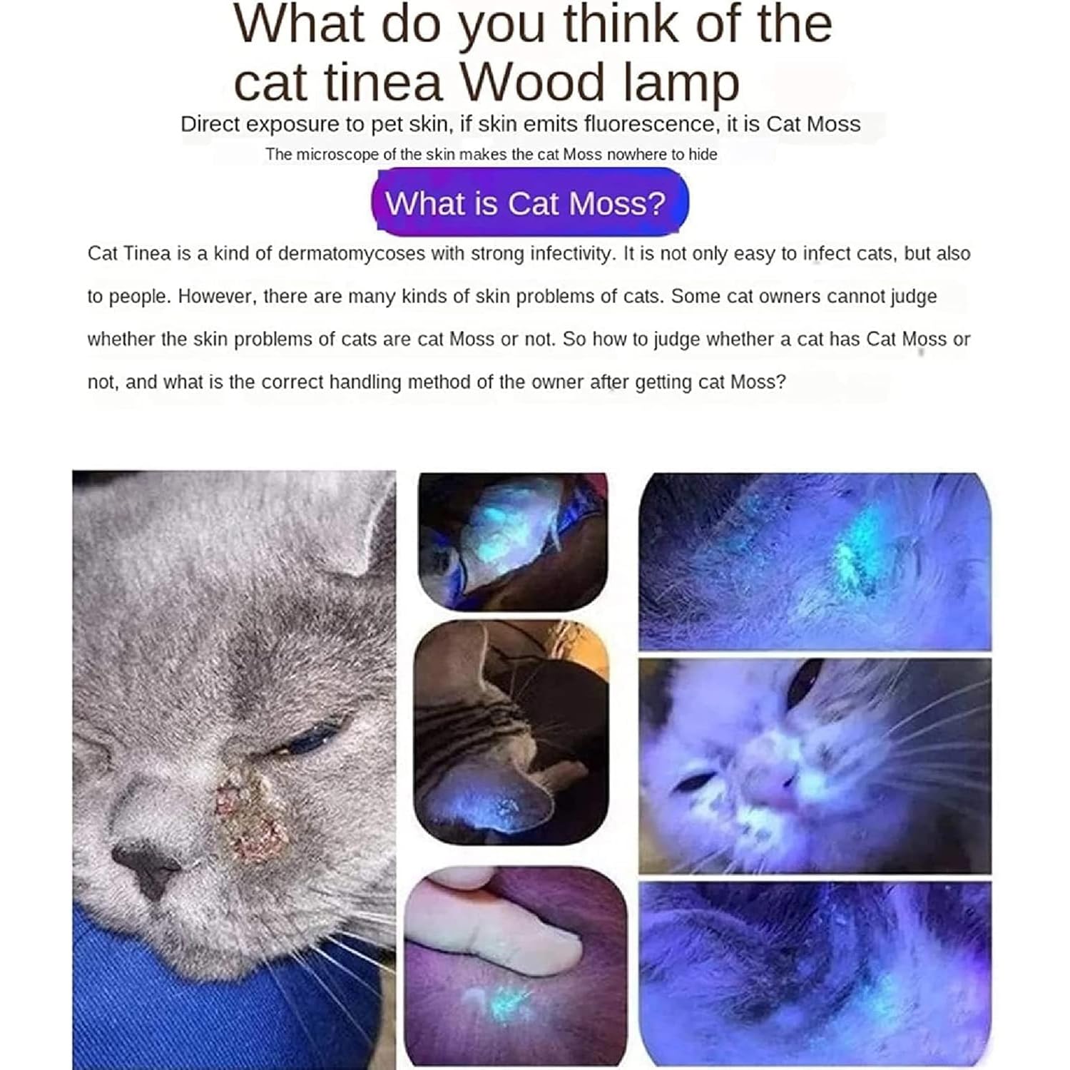 Tragbare Holzlampe, Ringwurmdetektor für Katzen, professionelles Set zur Pilzerkennung bei Haustieren mit tragbarer Schnalle und magnetischer Rückabdeckung für die Mooserkennung bei Katzen und Hunden