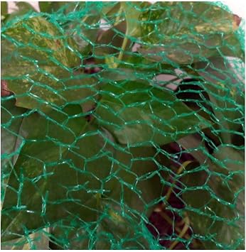 Homegarden Hexagon Humane Anti-Bird Net to Protect the Fruit in Your Trees, 16 x 6.5 Feet