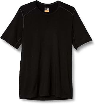 THE NORTH FACE - アイスブレーカー icebreaker S ツクシ Tシャツ カットソー icebreaker tシャツ / アイスブレーカー：「ONLY ARK」別注 U