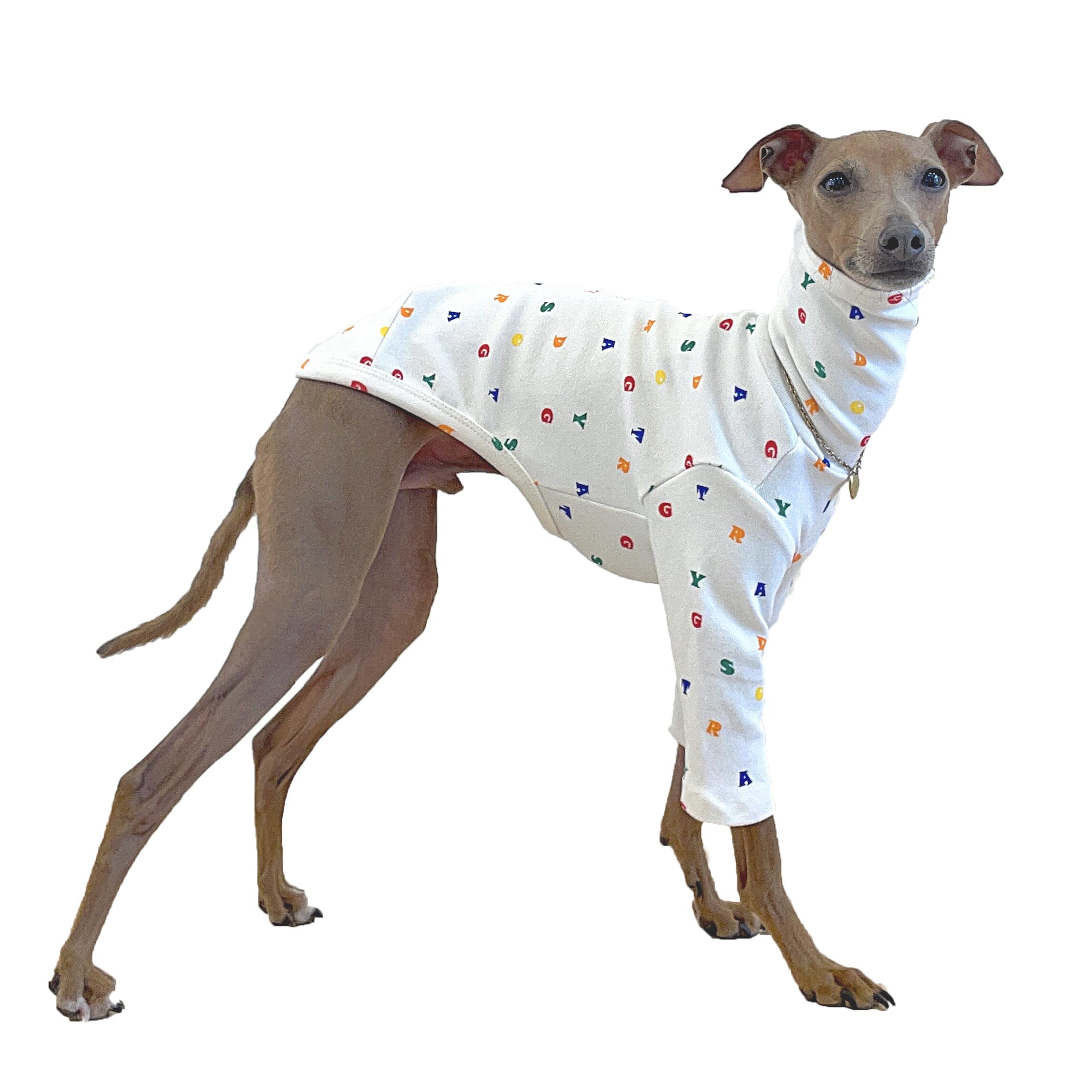 D Doggy Star Italian Greyhound Clothes Flexible T Shirts Whippet for Dogs (XL,Alphabet Ivory) โ image 1